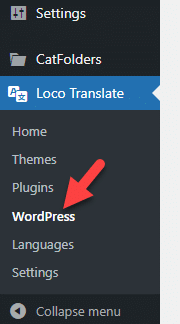 loco translate WordPress settings