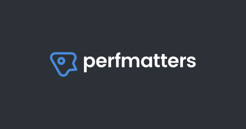 Perfmatters Web Performance Plugin for WordPress
